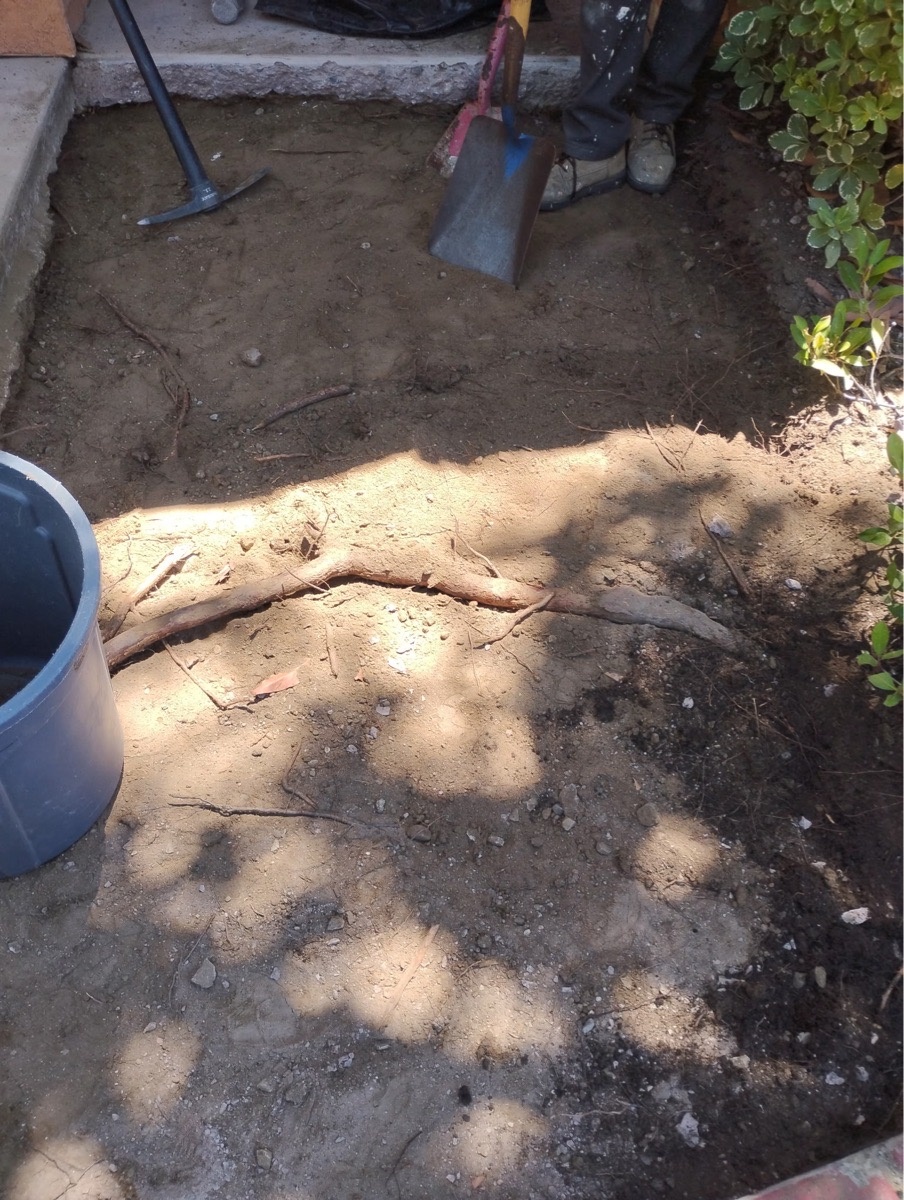 Prepared walkway area beside an existing building before concrete placement